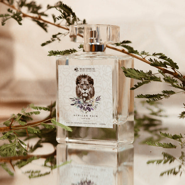 African Rain 100ml